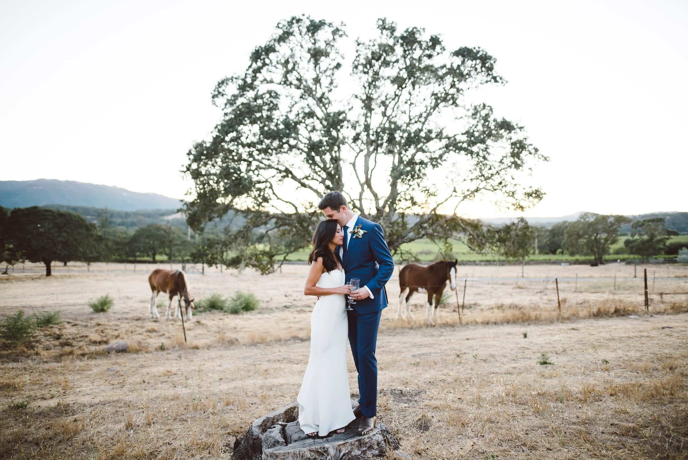 Beltane Ranch Wedding Portrait