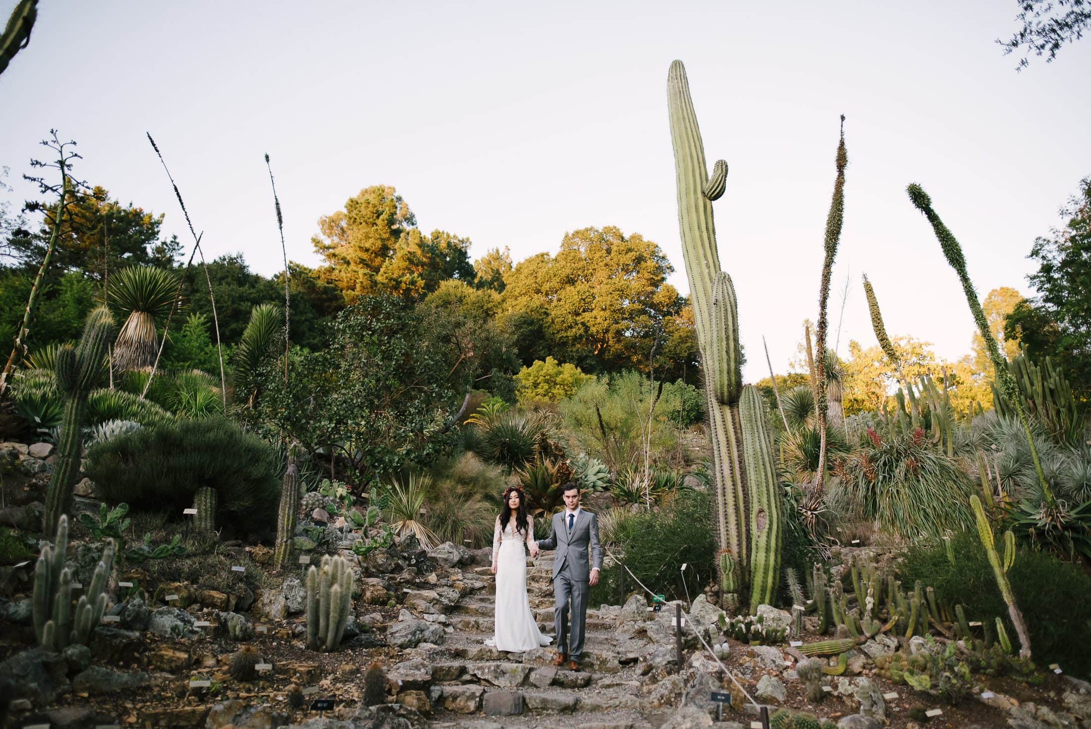 UC Botanical Gardens Wedding Portrait