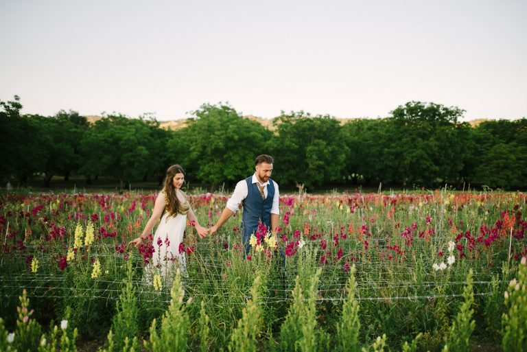 Couple walking through flowers at Full Belly Farm