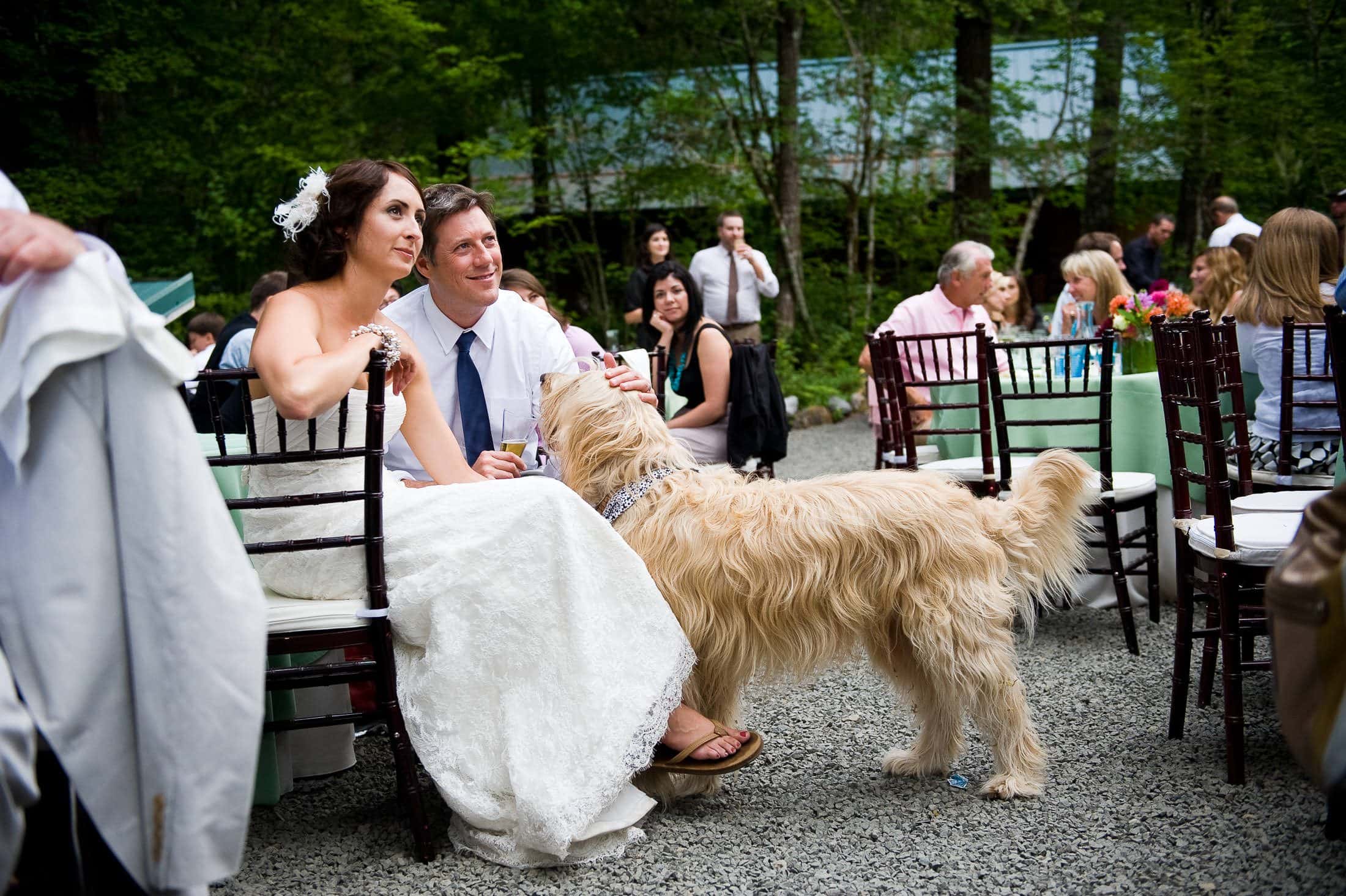 Mount Hood Wedding