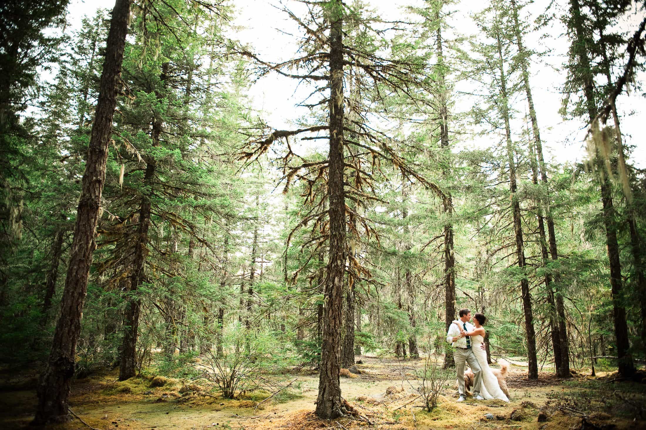 Mount Hood Wedding