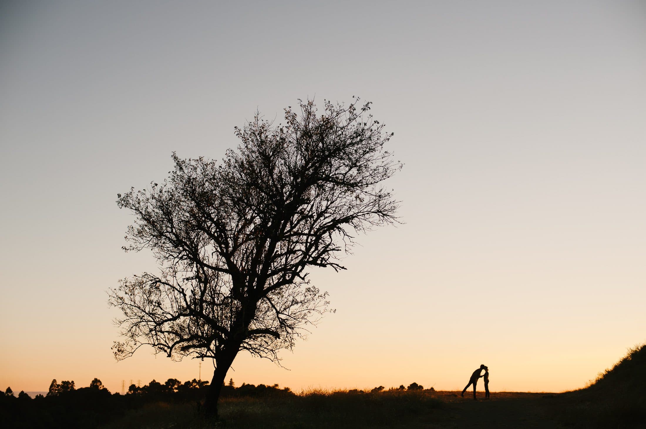 Sibley Park Engagement