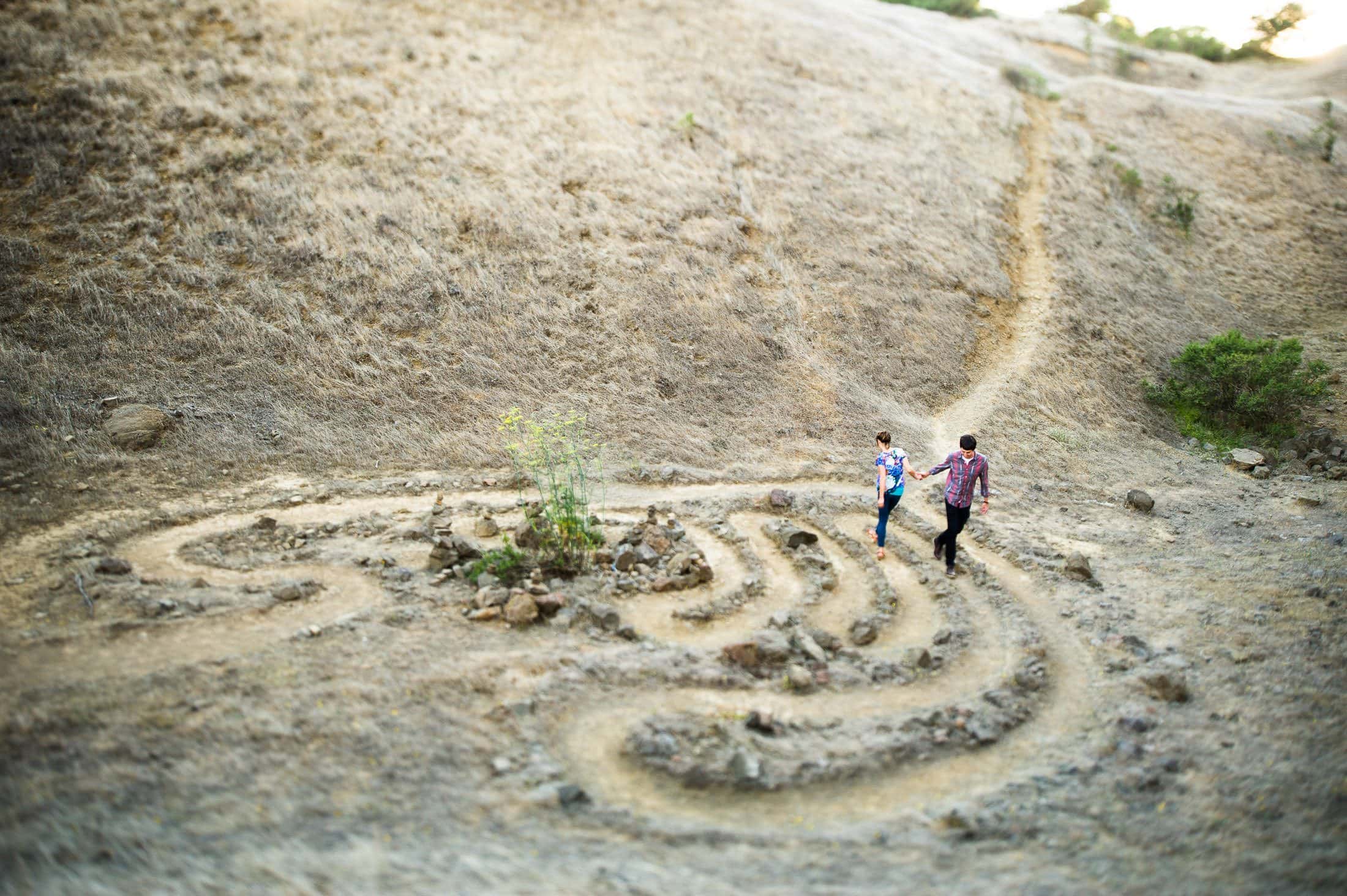 Sibley Park Engagement