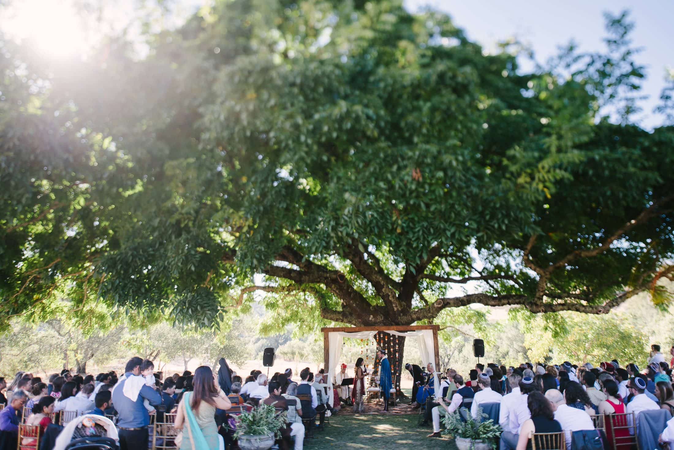 Indian Jewish Triple S Ranch Wedding