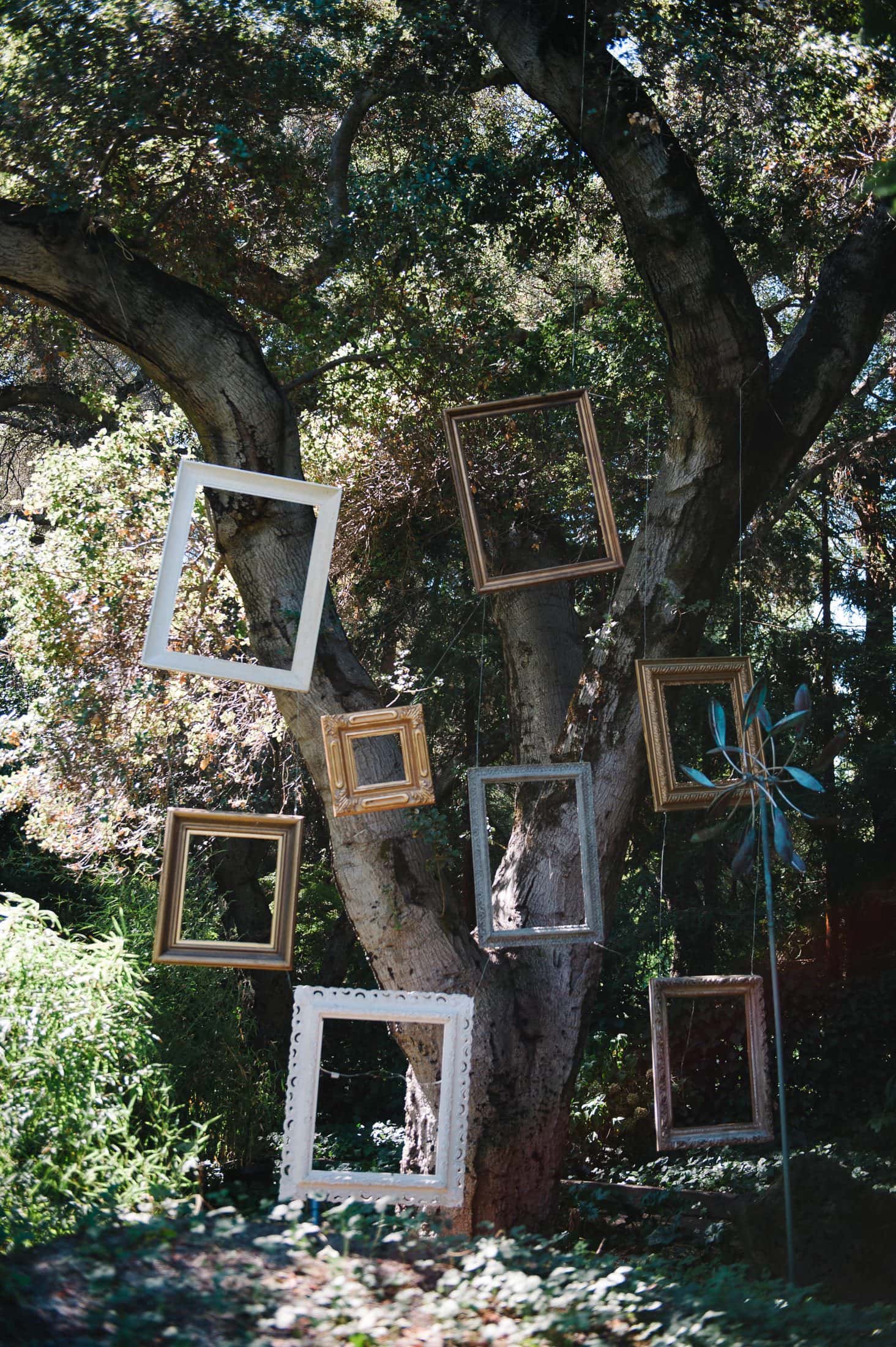 Picture Frames at Alice in Wonderland Victorian Mad Hatter Garden wedding in Atherton, CA
