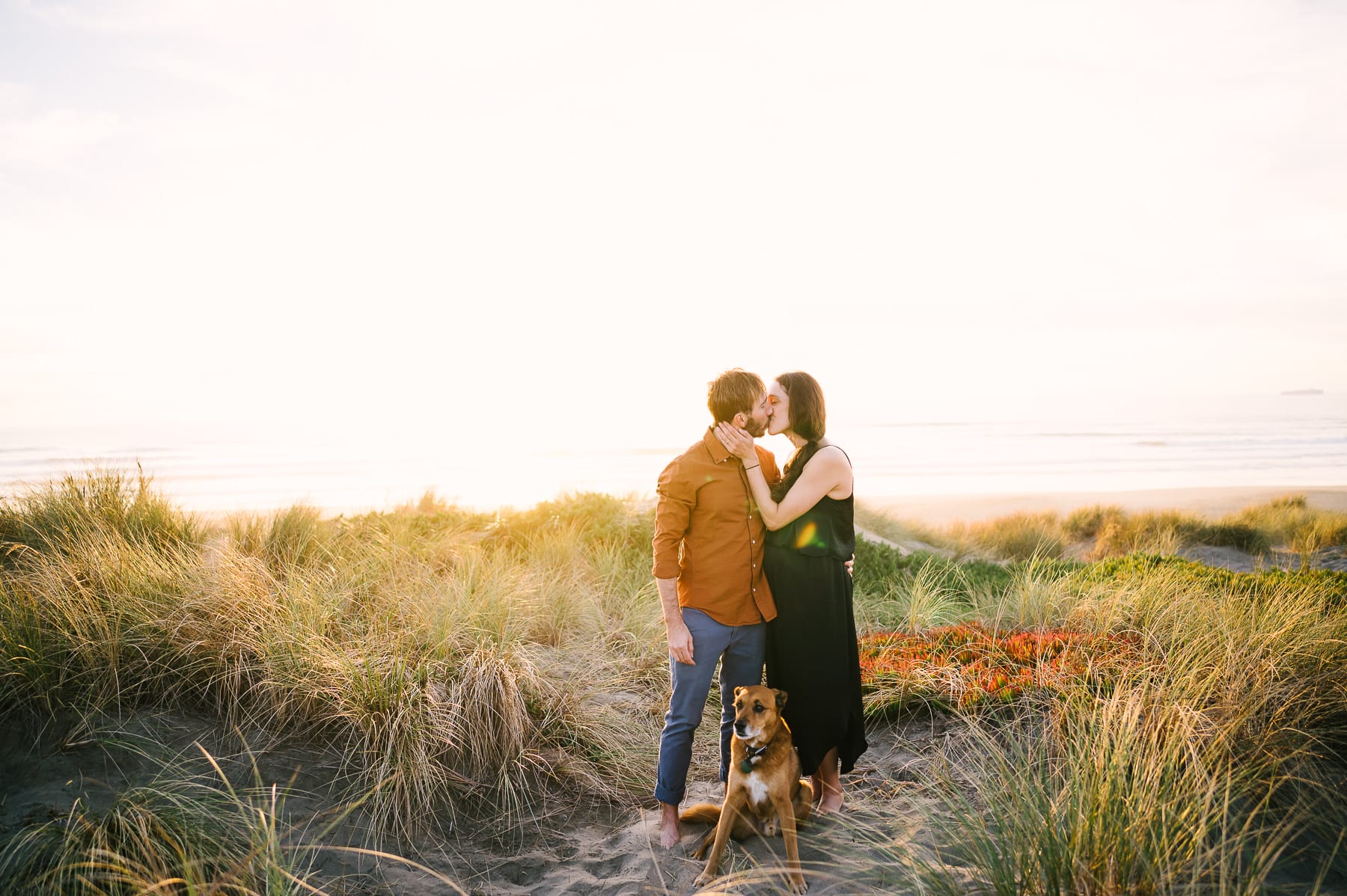 Man wearing brown shirt and kissing pregnant wife wearing black dress with dog sitting in front of them at pregnancy portrait session on the beach in San Francisco